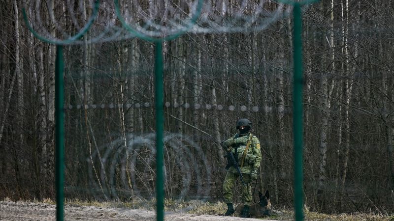 Ukrainian Military Escalates Border Fortifications Near Belarus